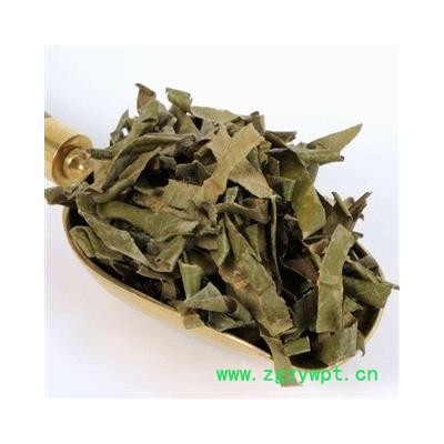 枇杷叶 枇杷叶精选货 产地 浙江省  产地直销 重在质量