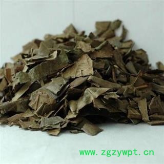 枇杷叶 枇杷叶精选货 产地 浙江省 产地直销 重在质量图2