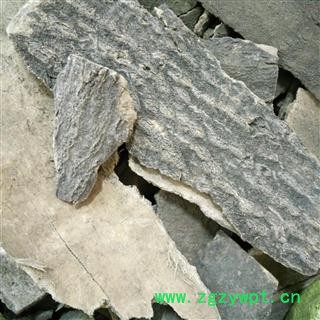 椿皮 椿树皮 统货 产地 安徽省图2