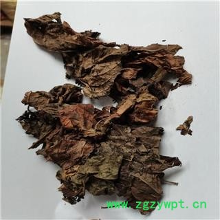 杜仲叶 统 产地 四川省泸州市图3