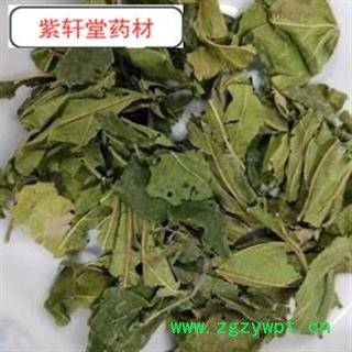 桑叶 青桑叶选货 产地 山东省  今年新货  地道药材  假一赔十图4