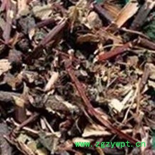 地瓜藤 过江龙 山药藤 山药秧 正品保证质量7天无理由退货退款 华安堂图2