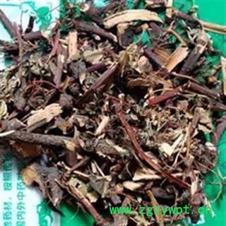 地瓜藤 过江龙 山药藤 山药秧 正品保证质量7天无理由退货退款 华安堂图3