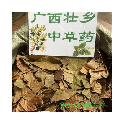广西壮乡中草药 野生 葫芦茶 剃刀柄 金剑草 咸鱼草 产地 广西柳州