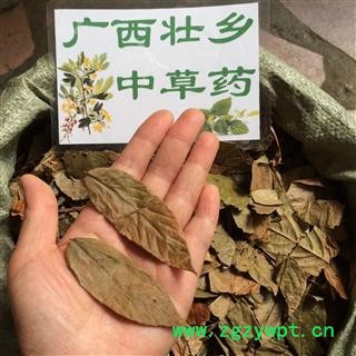 广西壮乡中草药 野生 葫芦茶 剃刀柄 金剑草 咸鱼草 产地 广西柳州图2