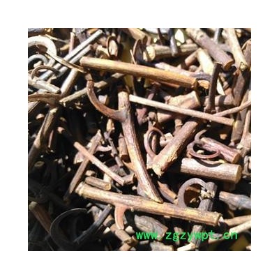 钩藤 精品选装含钩30％以上 产地 江西省