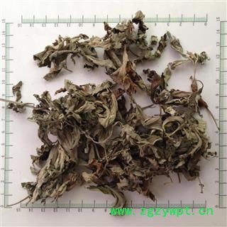 新辉药业正品艾叶 优质新货图2