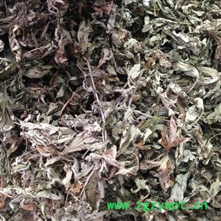 新辉药业正品艾叶 优质新货图3