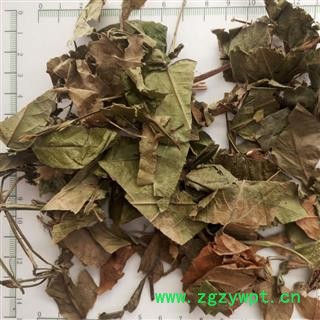 新辉药业中药材葫芦茶 金剑草图2