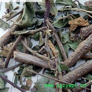 圣草康园武靴藤  匙羹藤 金刚藤 蛇天角 饭杓藤图2