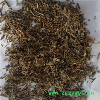 圣草康园 一叶萩 一叶秋 小粒蒿 横子 粉条 老鼠牙 马扫帚牙 小孩拳图2