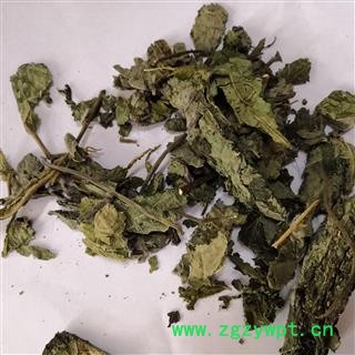 新辉药业楮叶  楮桃叶 另有楮树枝图2