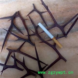 野生皂角刺 野生个子选货 产地 河南省平顶山市汝州市可以机切(供药店)图2