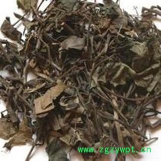 中药材海风藤 满坑香 老藤 大风藤图2