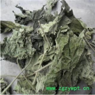 芙蓉叶 正品保证质量7天无理由退货退款 安品堂图4