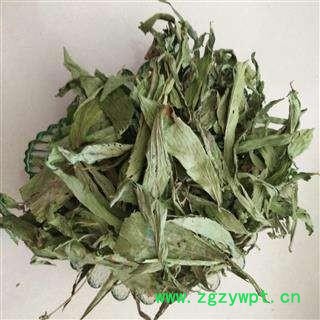 丽丽药业 甜叶菊 中药材批发 正品保证实图拍照7天无理由退货退款图3