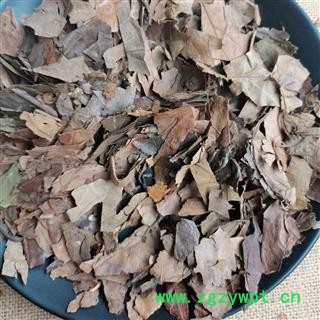 柿叶 柿子叶正品保证质量7天无理由退货退款 安品堂图2