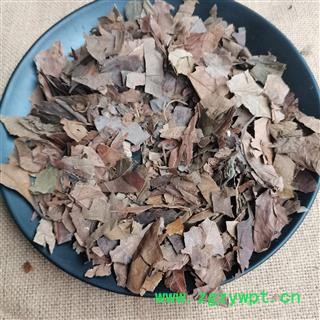 柿叶 柿子叶正品保证质量7天无理由退货退款 安品堂图4