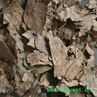 枫叶 枫树叶 正品保证质量7天无理由退货退款 安品堂图2