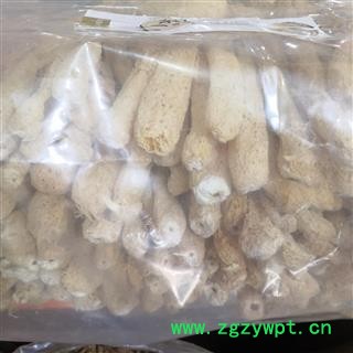 新辉药业优质竹荪 药食两用 优质菌材羊肚菌 姬松茸图2