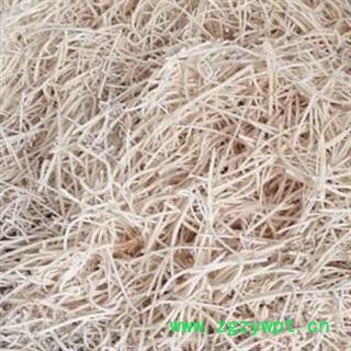 绣球通草 统 2020 产地 四川省凉山彝族自治州德昌县图3