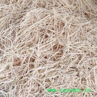 绣球通草 统 2020 产地 四川省凉山彝族自治州德昌县图2