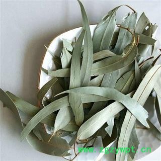 桉叶 桉树叶 正品保证质量7天无理由退货退款 安品堂图3