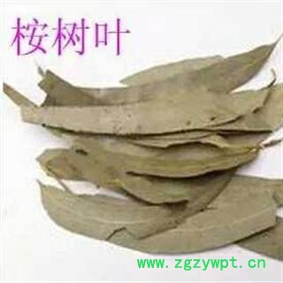 桉叶 桉树叶 正品保证质量7天无理由退货退款 安品堂图2