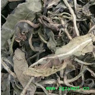 大青叶 大青叶统段 产地 山东省图2