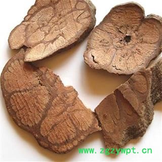 九龙腾 过江龙 过岗龙 龙须藤 丁公藤 搜山虎 高山龙 华安堂图2