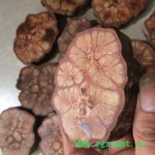 九龙腾 过江龙 过岗龙 龙须藤 丁公藤 搜山虎 高山龙 华安堂图4