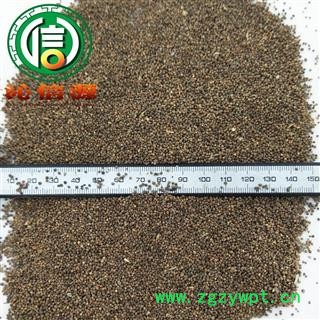 【满包邮】紫苏子选货散装河北产地直供苏麻子沁信源中药批发图2