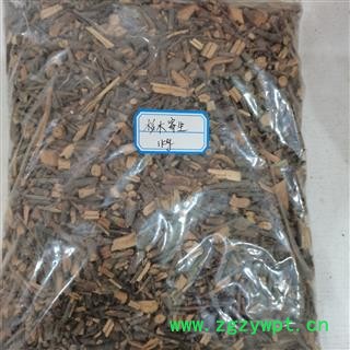 杉木寄生 杉寄生 正品保证质量无理由退货退款图4