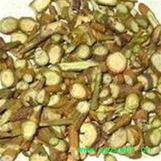 寄生 寄生统货 产地 吉林省图2