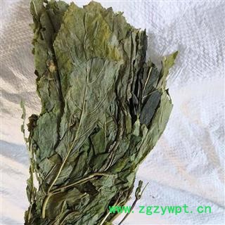 【满包邮】人参叶 统 1000g 产地 吉林省图2