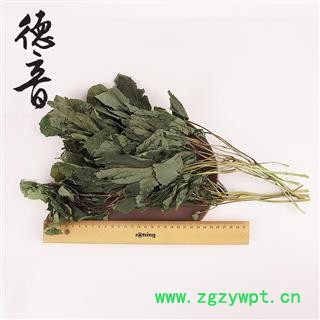 【满包邮】人参叶 统 1000g 产地 吉林省图3