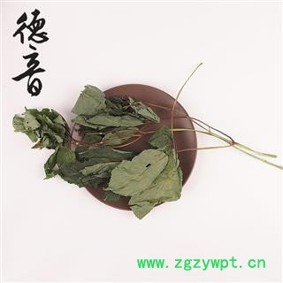 【满包邮】人参叶 统 1000g 产地 吉林省图4