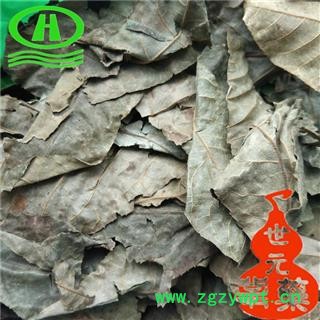 世元药业 青钱柳叶 正品 别称 摇钱树 麻柳 青钱李 山麻柳 山化树 金钱柳叶图2