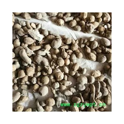 三叶青 三叶青统货 产地 浙江省 批发经营各种冷背中草药个子