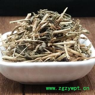 九盛堂中药材 常春花 长春花 日日新 雁来红 日日春 日日草 三万花 四时春 时钟花图4