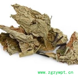 吉康药业白背叶 （绝非紫珠叶冒充）白鹤叶 白面风图2