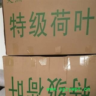 新辉药业优质荷叶 荷叶块 荷叶丝 荷叶蒂图3