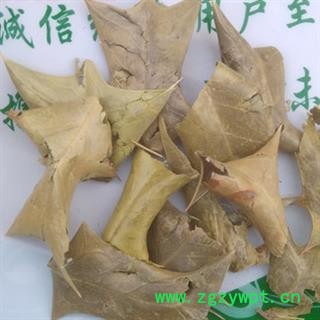 新辉药业功劳叶 十大功劳叶图2