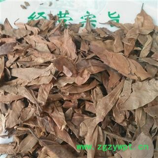 新辉药业榕树叶 正品榕叶 落地金钱图2