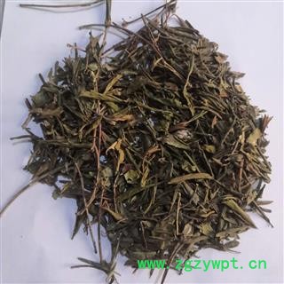 新辉药业山香圆叶  两指剑 千打锤 七寸钉图2