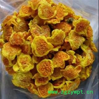 新辉药业百花茶 金花茶 散装精装盒装 多种规格图2