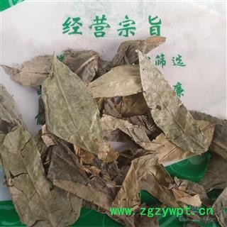 新辉药业野生山香圆叶 两指剑 千打锤 七寸钉图3