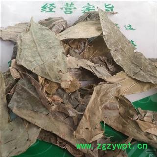 新辉药业野生山香圆叶 两指剑 千打锤 七寸钉图4