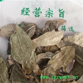 新辉药业野生山香圆叶 两指剑 千打锤 七寸钉图2