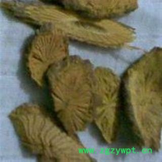 圣草康园黄藤 黄莲藤 土黄连 大黄藤产地 广西壮族自治区图2